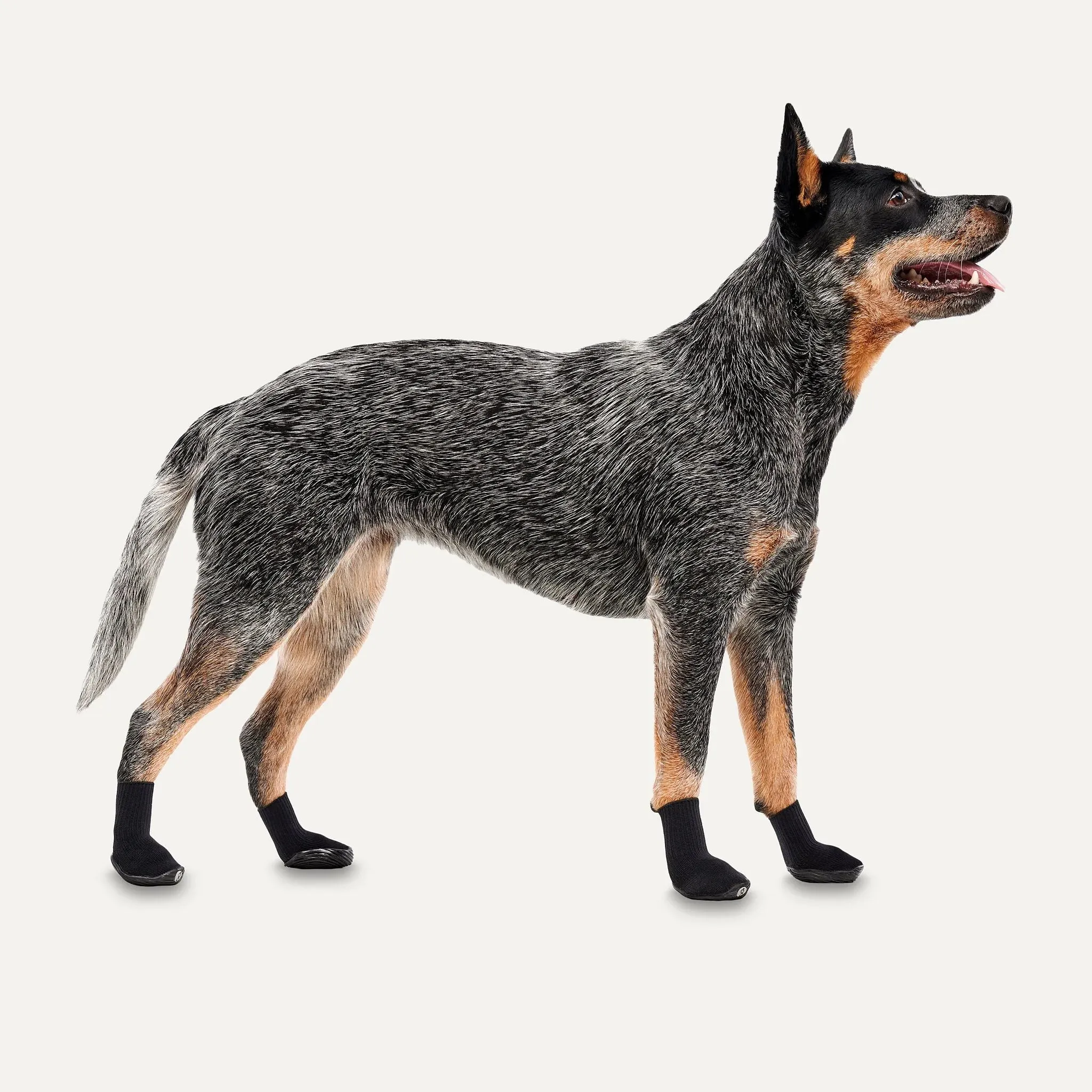 Goo-Eez Boots Black CLEARANCE FINAL SALE