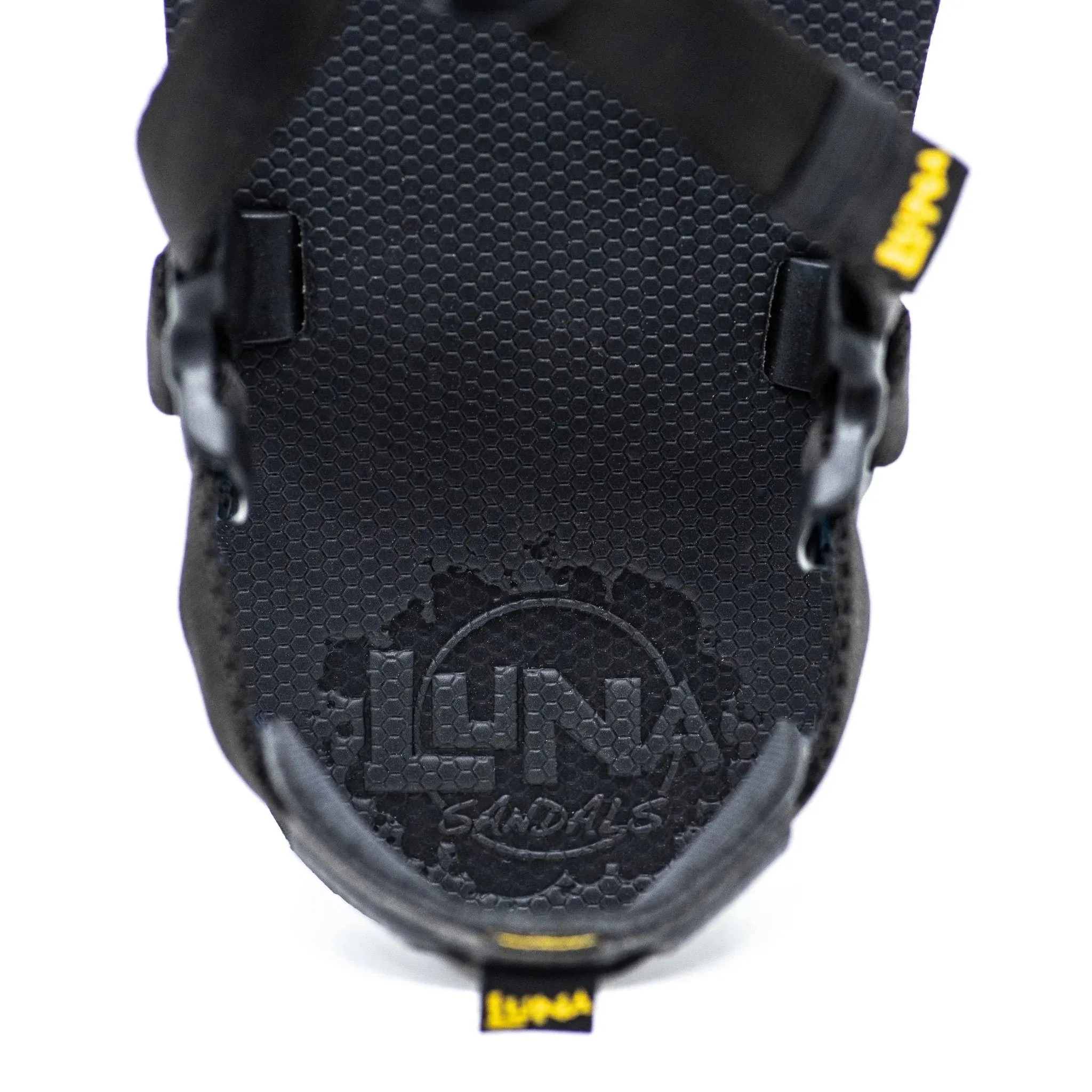 Luna Oso Winged Edition