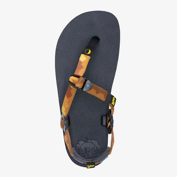 Luna Oso Winged Edition
