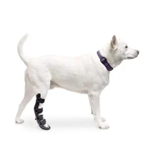 Walkin’ Rear Pet Splint